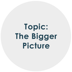 Topic-The Bigger Picture 